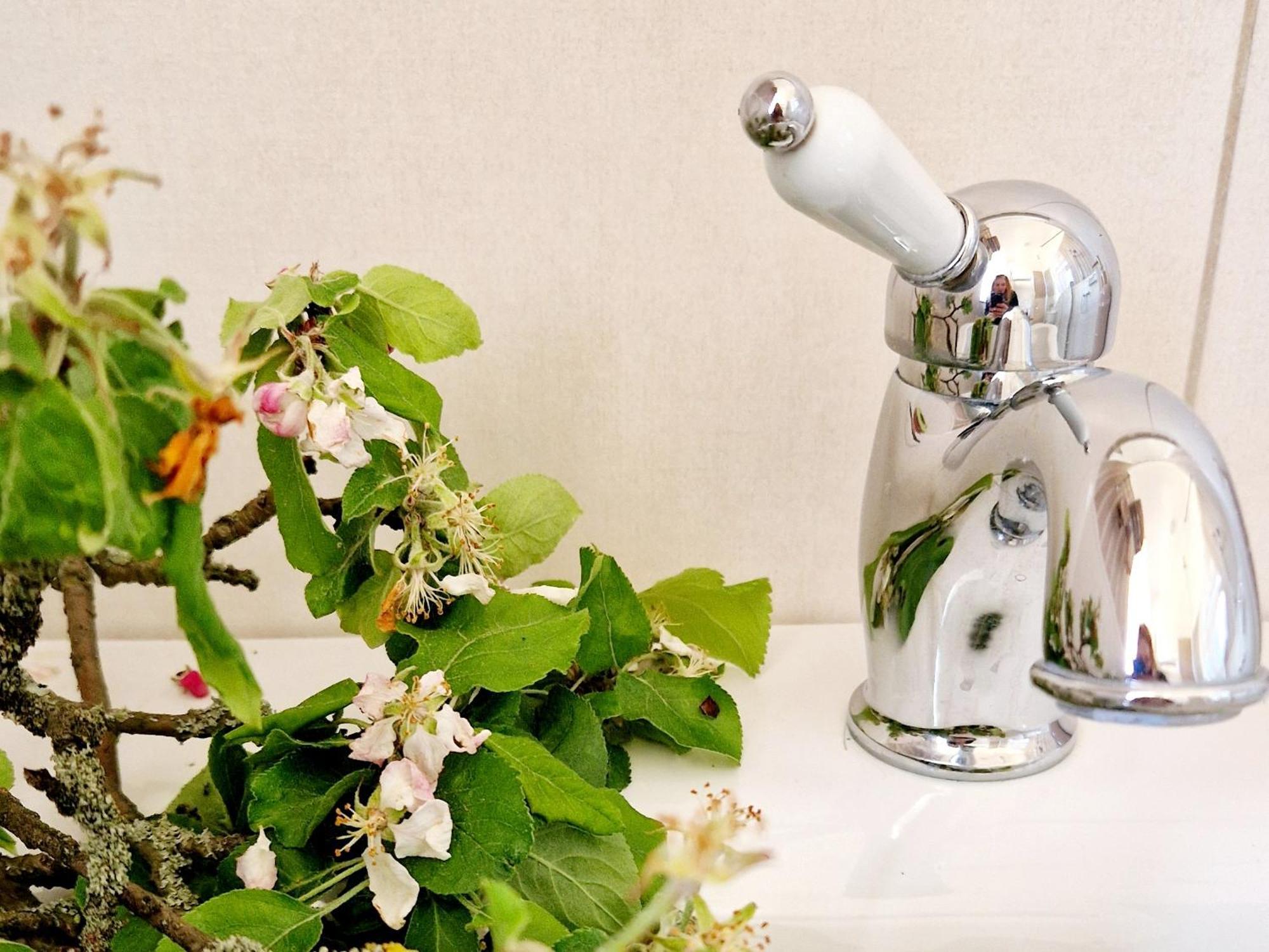 Villa Follemira Cz - Kitchen - Garden - Bike Storage Pencin 외부 사진